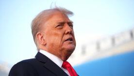 Трамп отреагировал на убийство украинки в США, а его сын назвал "клоунами" тех, кто молчит