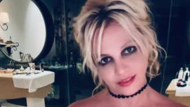 "Повсюду экскременты собак!": Бритни Спирс поразила родственников состоянием своего дома