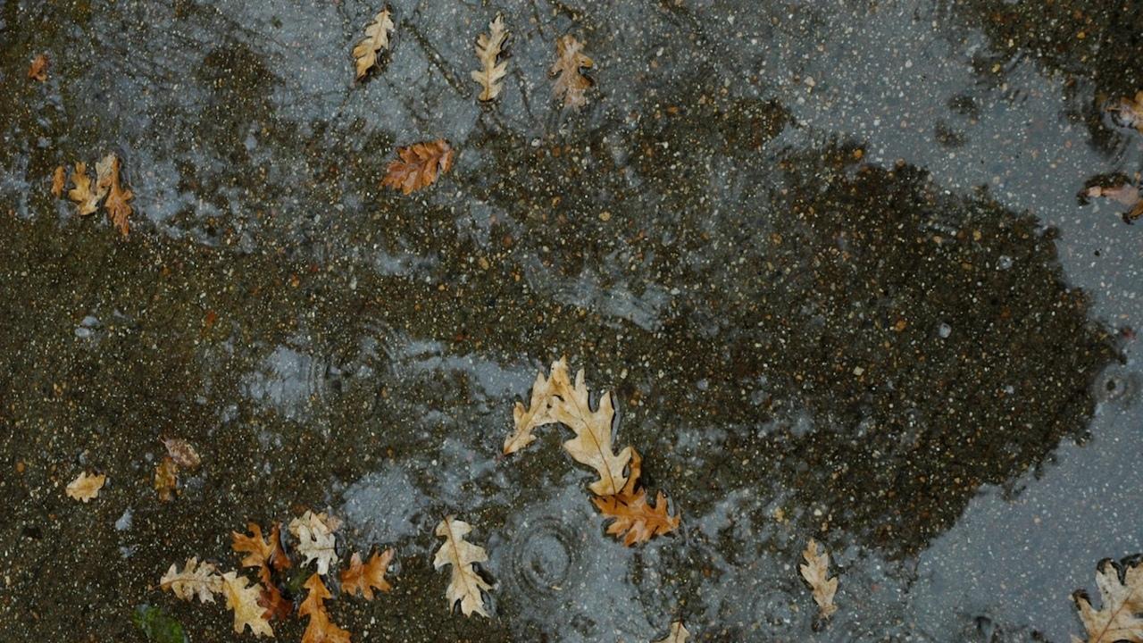 От заморозков до "бабьего лета": чего ждать от погоды в Киевской области