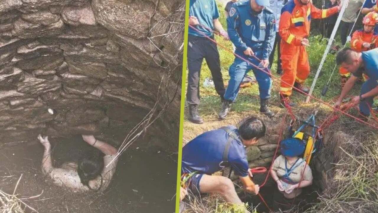 54 часа в аду: как женщина чудом выжила после падения в колодец змей