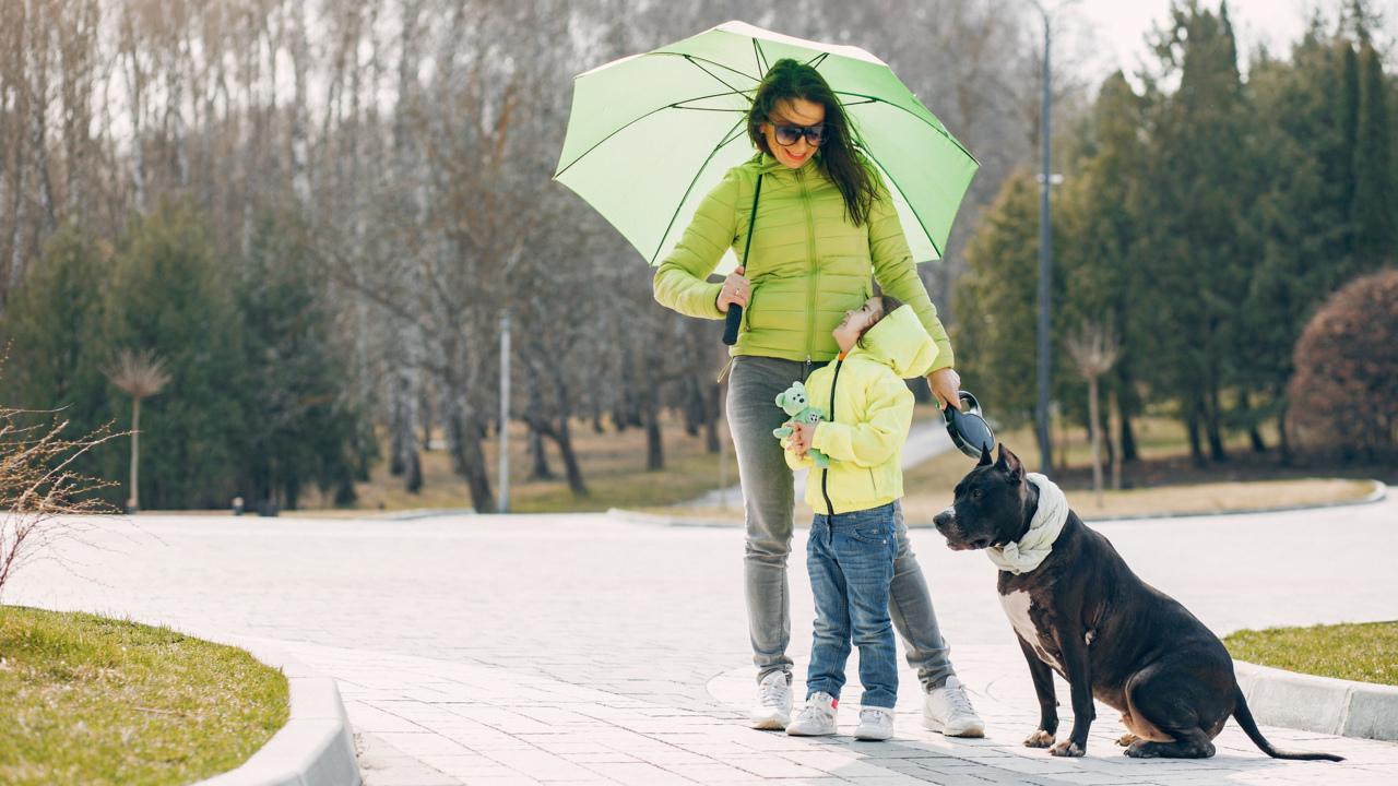 погода на київ та область сьогодні 