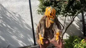 Ужасное сообщество: как Конвей создает праздник