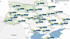 Мокрый снег ожидается на севере Украины и в Карпатах в ближайшие дни, ночью будут заморозки, сообщает Укргидрометцентр