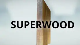 Революція в будівництві: представлено "Superwood" — деревину, міцнішу за сталь