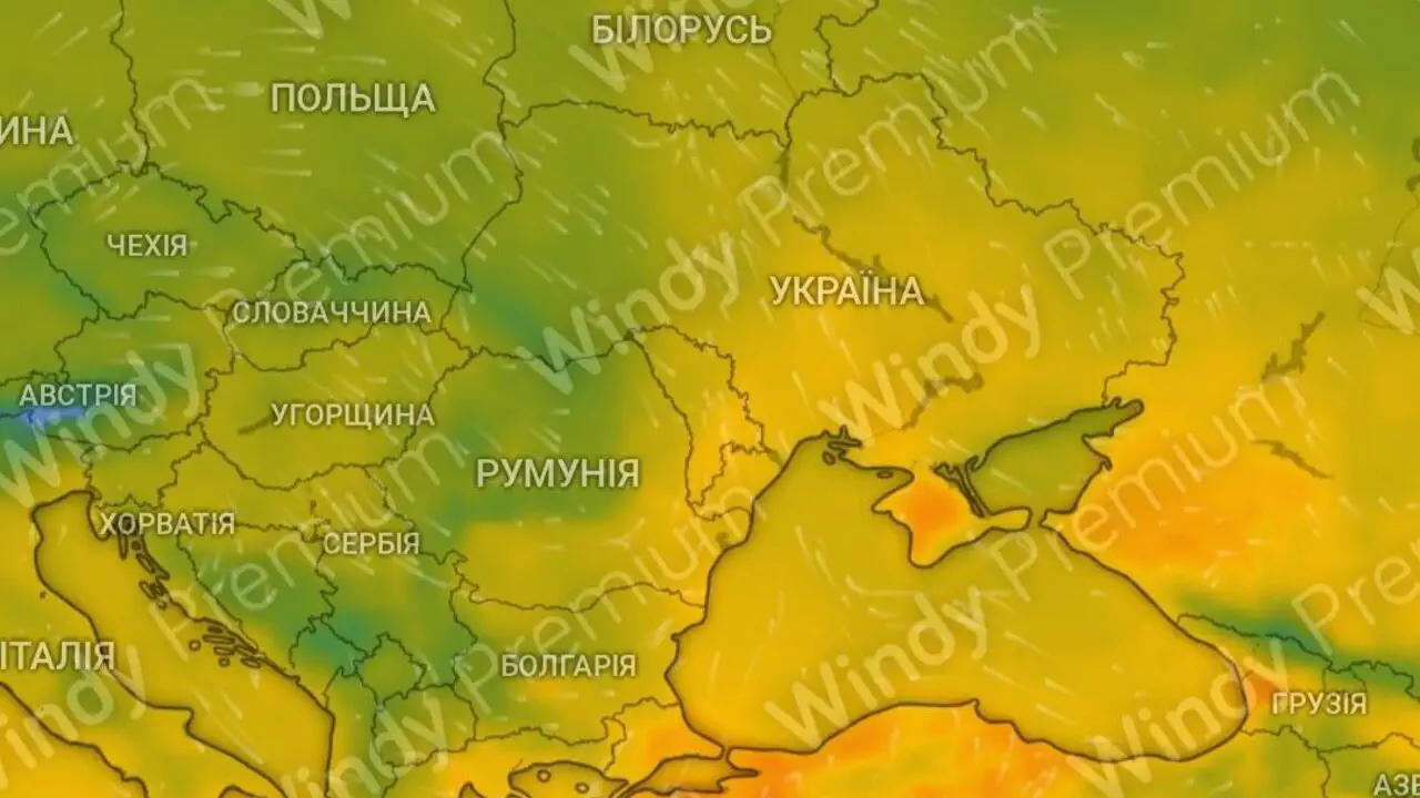 На Київщині панує пізня осінь зі снігом та дощем