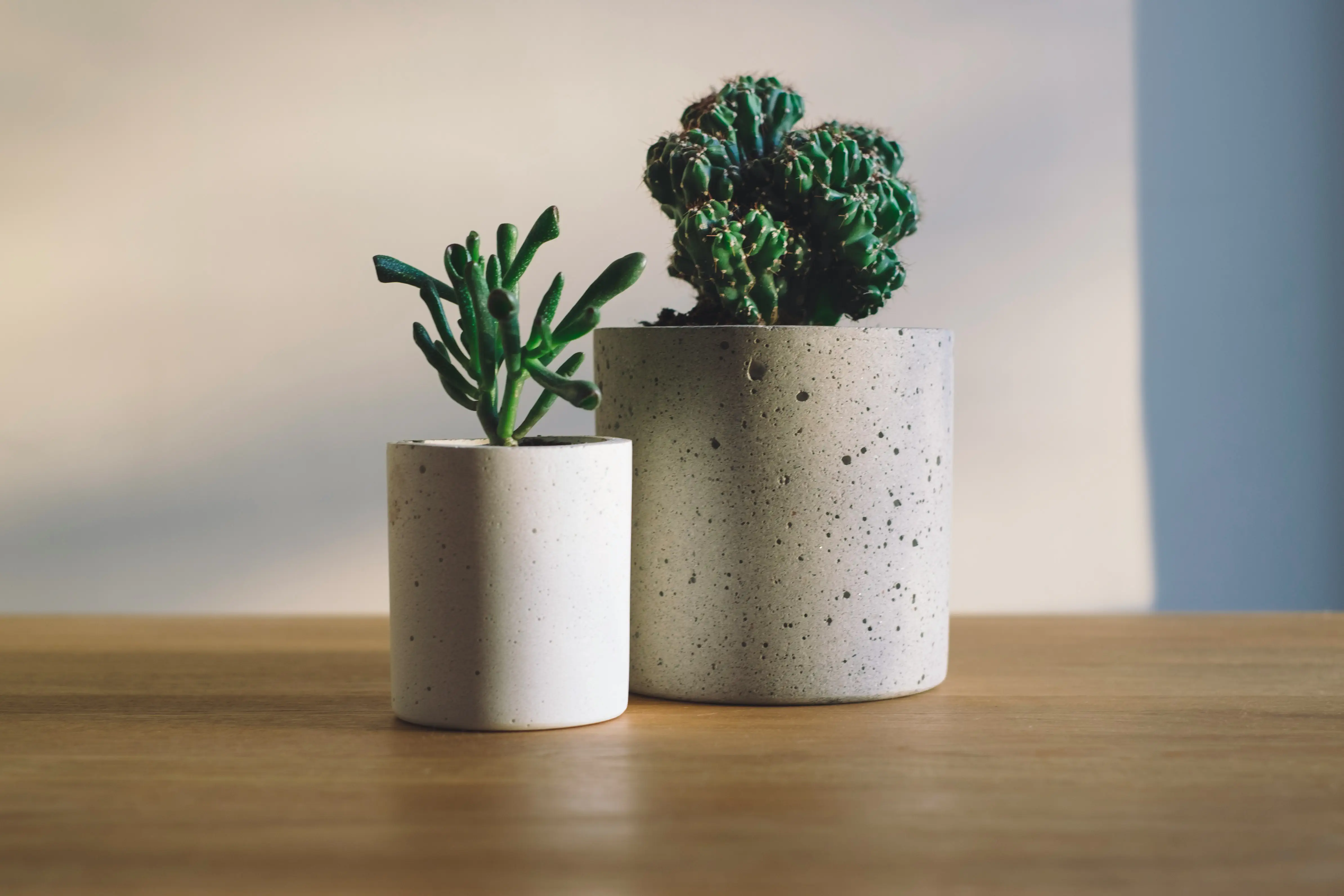 / Фото: Unsplash