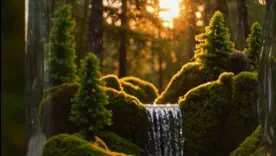 Ці знаки Зодіаку розбагатіють до кінця Сезону Скорпіона (ВІДЕО)