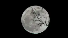 Луна "без курсу": Еріка Рояллс розкрила час у листопаді, коли не варто починати нічого важливого