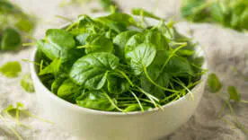 Неожиданный чемпион здоровья: какой продукт обошёл все суперфуды?