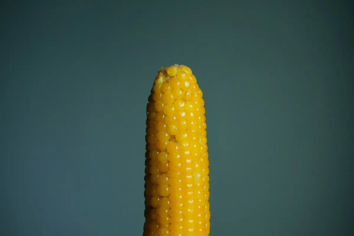 / Фото: Unsplash