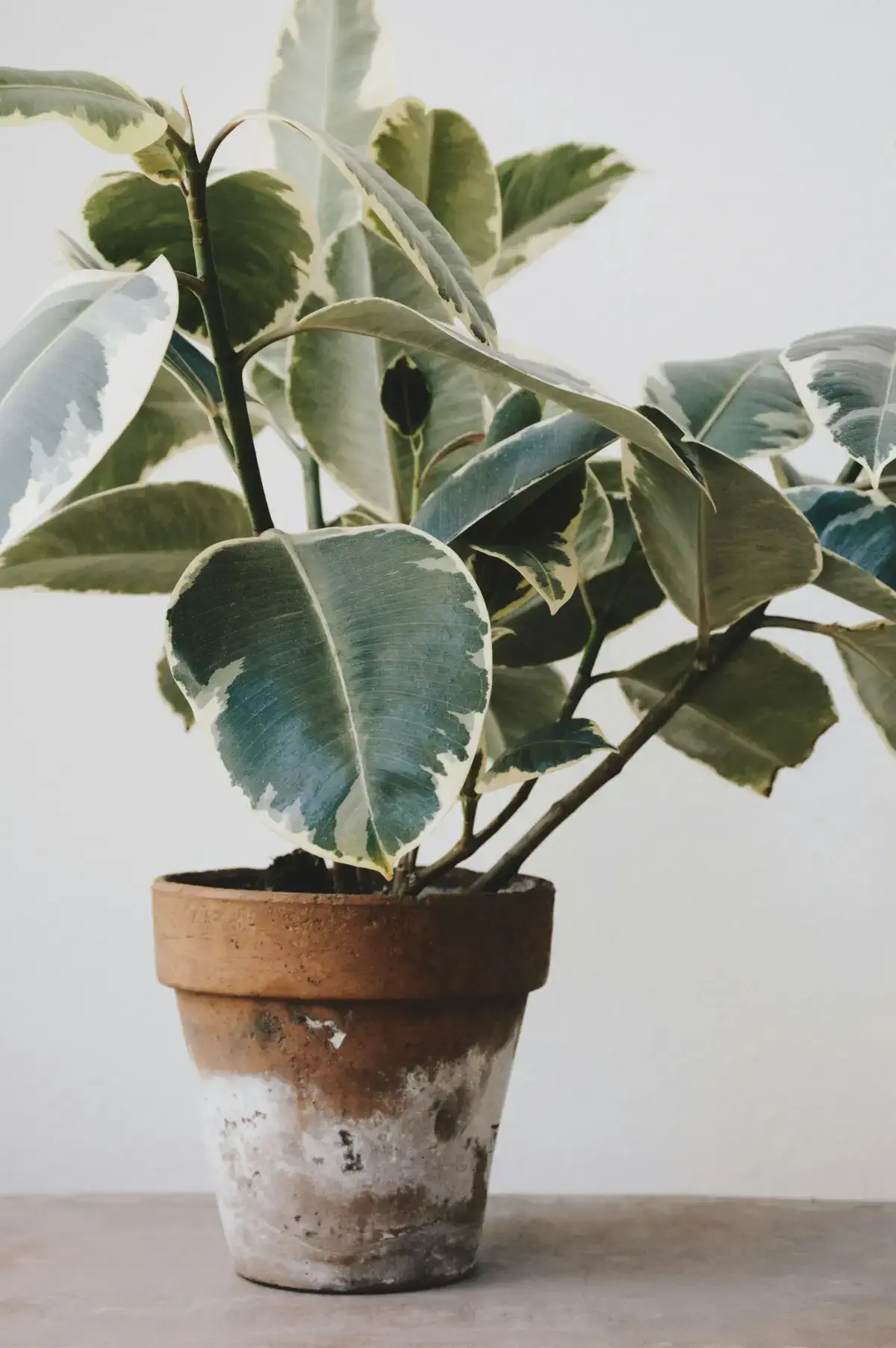 Фото: Unsplash