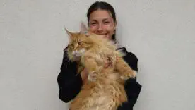 Марина Бех з котом