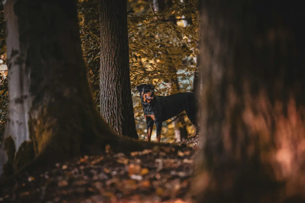/ Фото: Unsplash