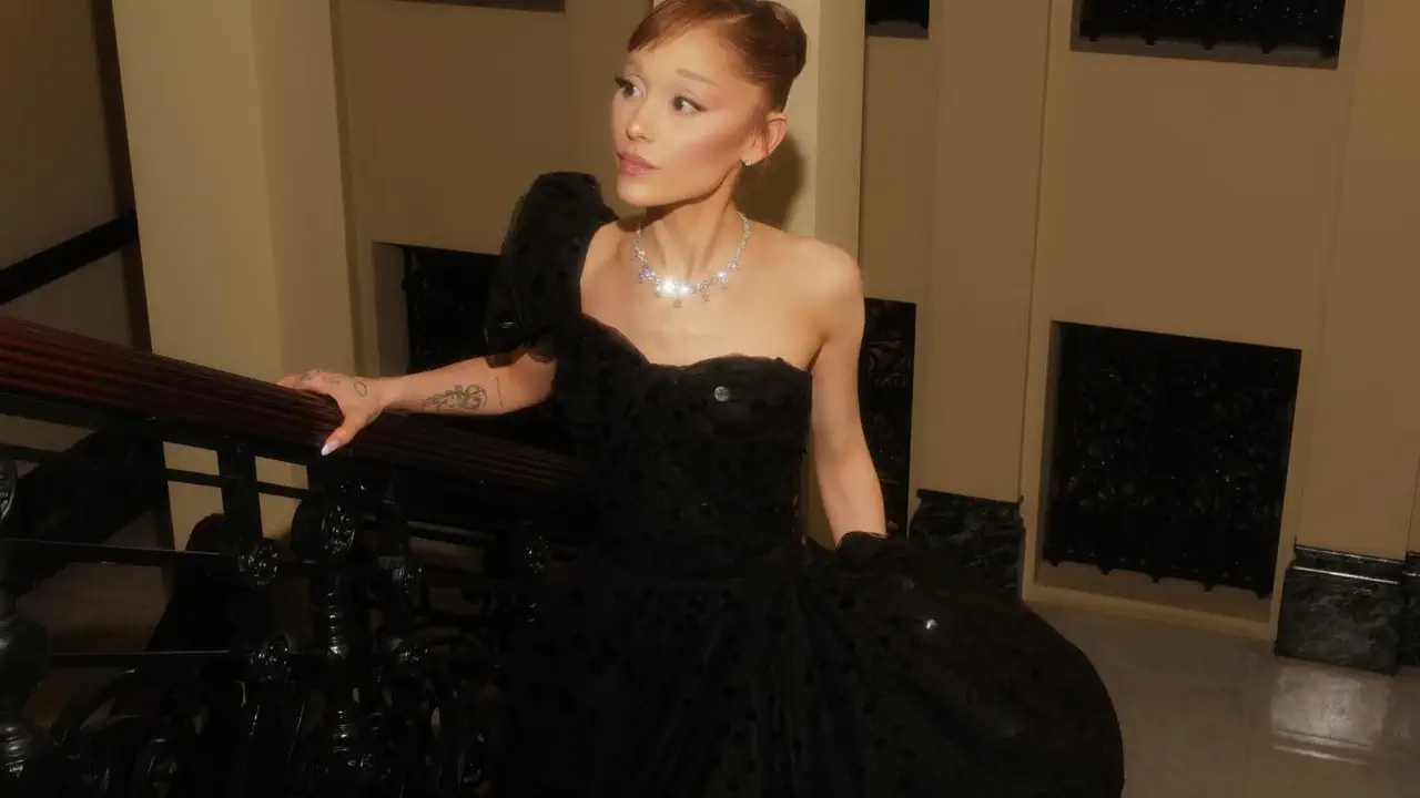 9 дней за нападение на Ариану Гранде! Приговор суда возмутил фанатов