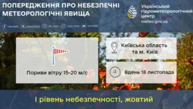 Рекомендуется быть осторожными и по возможности ограничить пребывание на улице во время сильного ветра