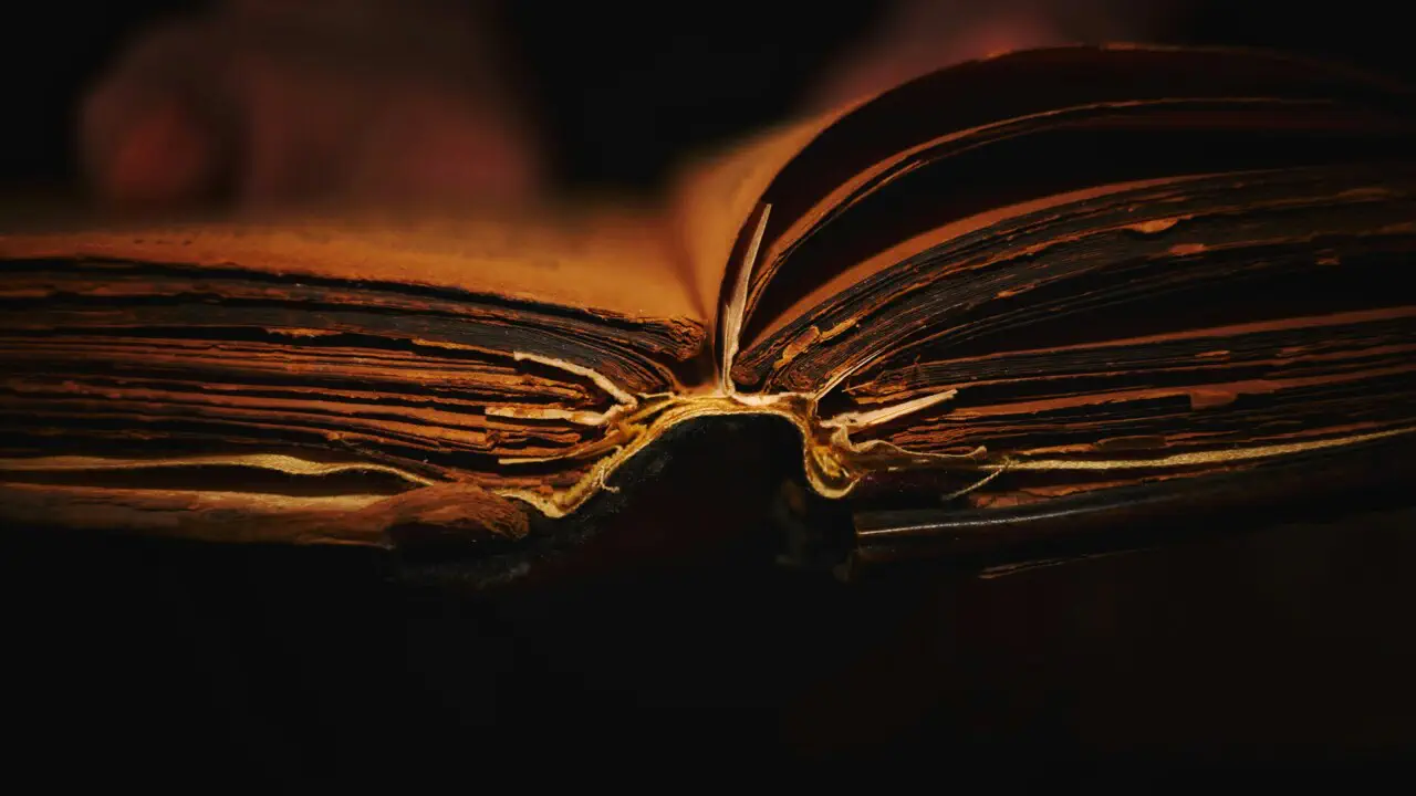 Рекордне запізнення: книгу «Чудова жінка» повернули до канадської бібліотеки через 135 років