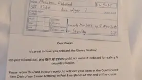 Це нові правила Disney Cruise Line