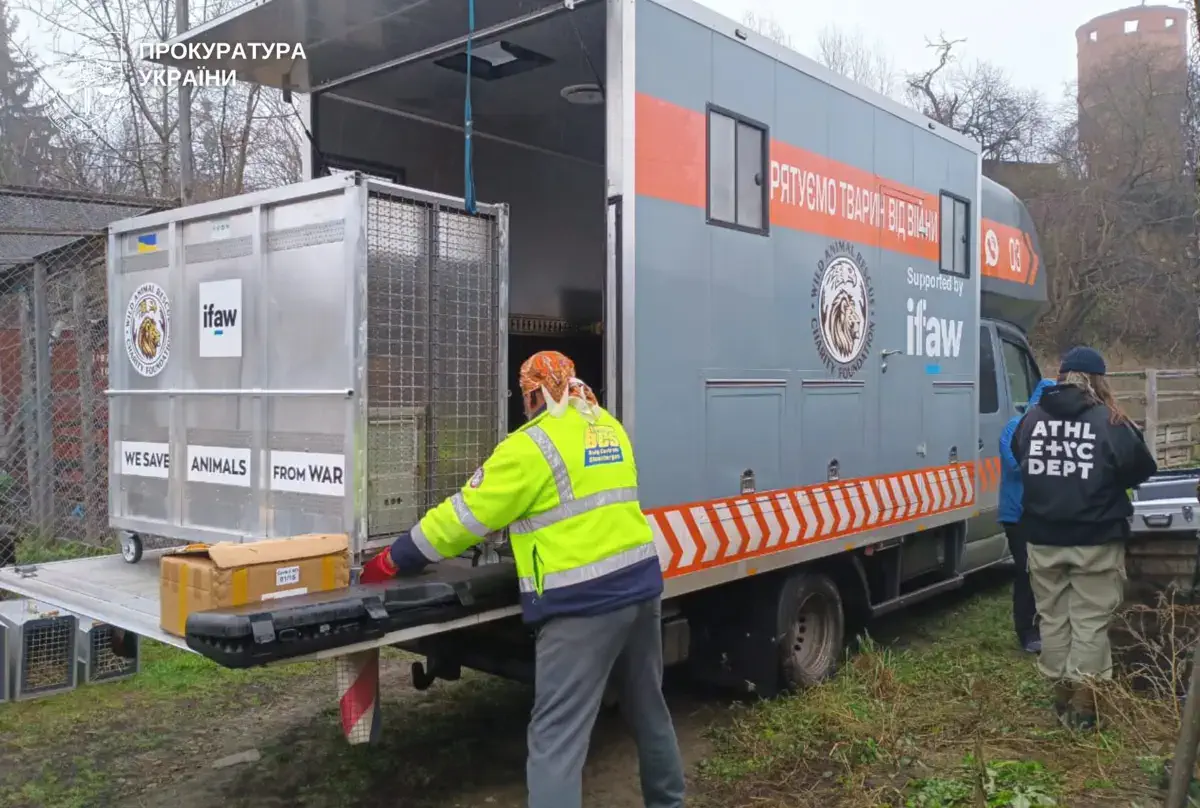 Тварин із хмельницького притулку вивозять до зоозахисників