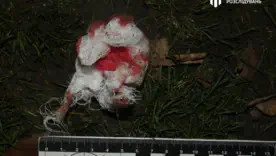 Поліцейському, який відкрив вогонь по військовим, повідомили про підозру/Фото: ДБР