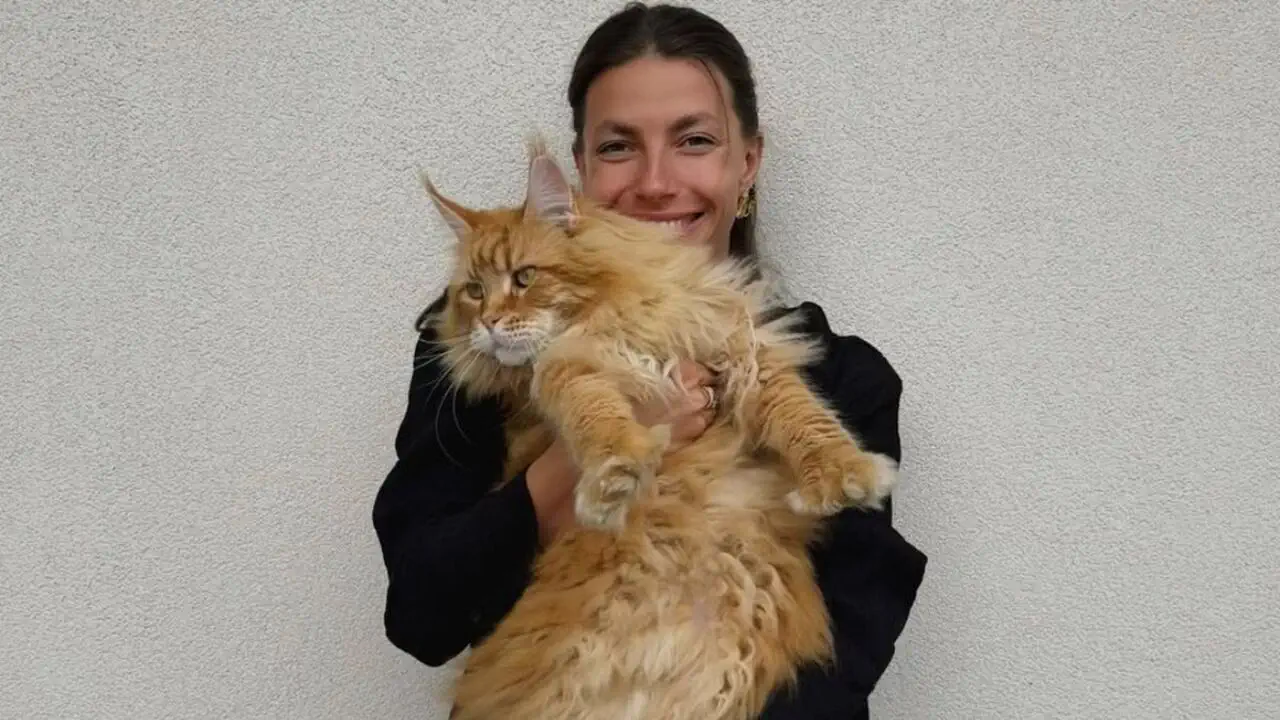 Марина Бех с котом