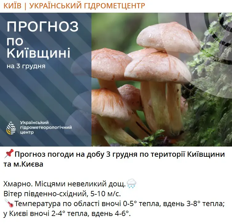 Прогноз погоди на добу 3 грудня по території Київщини та м.Києва 