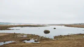 Вода закінчується: на окупованій території Донеччини погіршується доступ до води