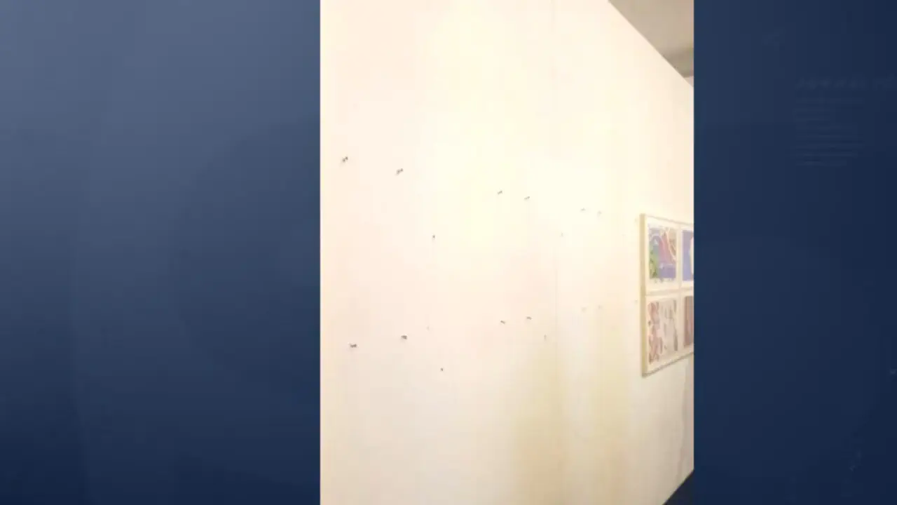 Зухвале пограбування бібліотеки в Сан-Паулу