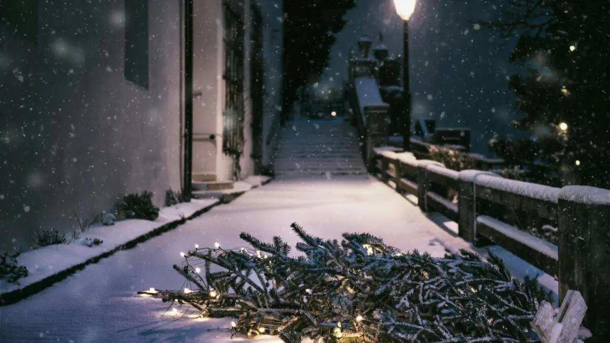 Тиждень перед Різдвом: енергопрактикиня пояснила, як його прожити для щастя в майбутньому