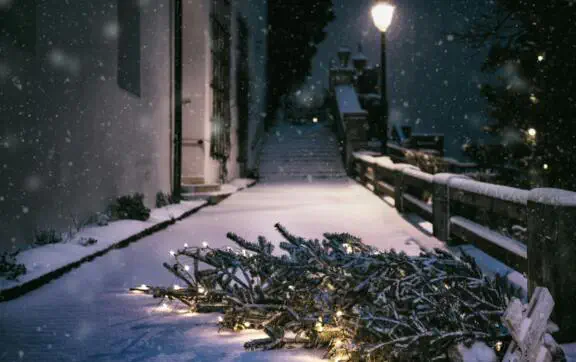 Тиждень перед Різдвом: енергопрактикиня пояснила, як його прожити для щастя в майбутньому