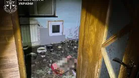 Прокурори призначили низку експертиз у справі про катівню тварин під Києвом/Фото: Прокуратура України