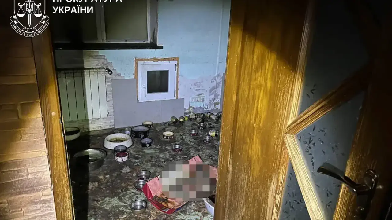 Десятки жертв: правоохоронці встановлюють організаторів масового знущання з тварин на Київщині