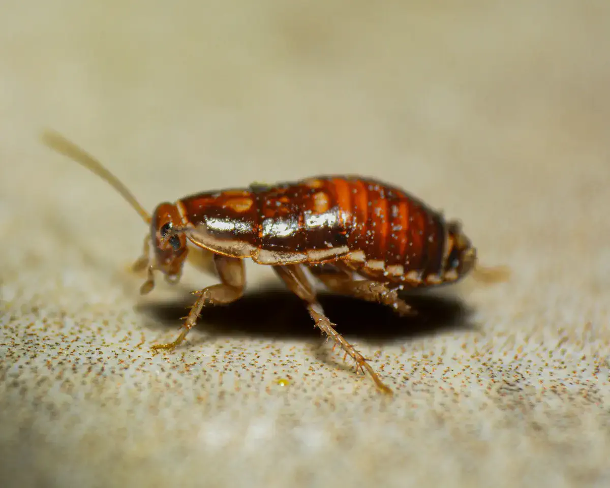 Фото: Unsplash