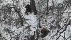 Умисне вбивство військовополонених є грубим порушенням Женевських конвенцій та класифікується як тяжкий міжнародний злочин
