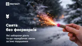Конец эпохи салютов: Минюст официально объявил охоту на нарушителей тишины