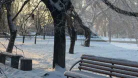 Холод будет усиливаться северо-восточным ветром умеренной силы