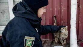 Фото: Алексей Белошицкий