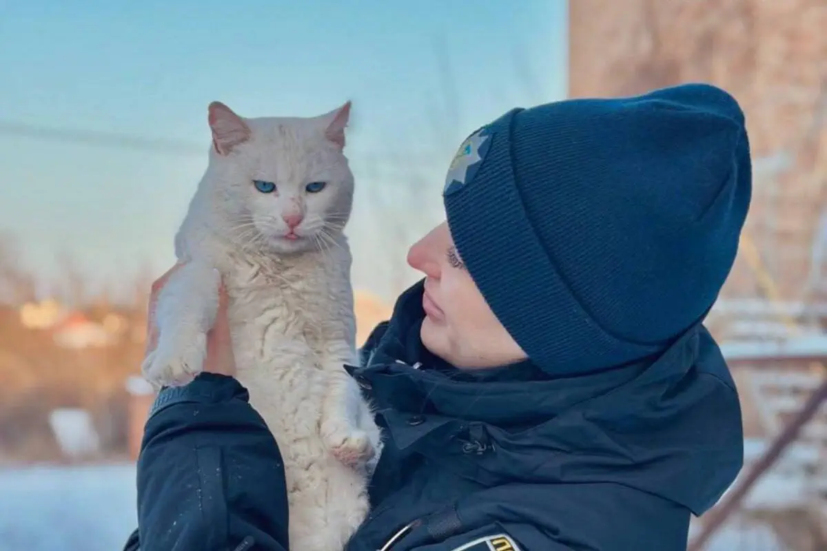 Фото: Алексей Белошицкий