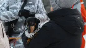 У Києві кількість пунктів обігріву ДСНС збільшили до 104 — МВС