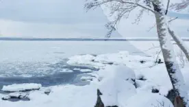 Останній тиждень січня на Київщині та в столиці буде динамічним