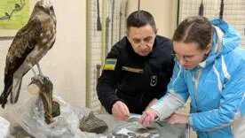 Митники передали музею 62 унікальні знахідки: від зуба мамута до рідкісного птаха