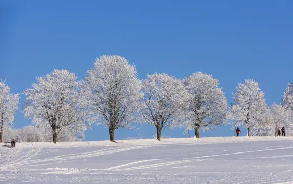 Лютий розпочнеться з сильного похолодання, яке охопить більшу частину території України.