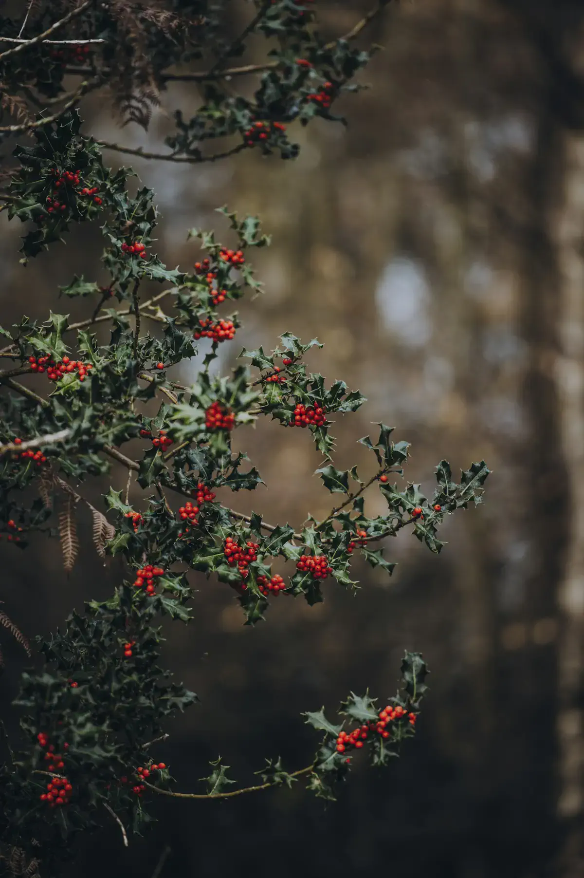 Фото: Unsplash