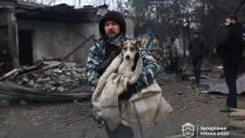 Оккупанты нанесли удар по приюту для животных в Запорожье/Фото: Регина Харченко