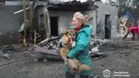 Десятки изуродованных собак спасают из-под завалов после удара по запорожскому приюту
