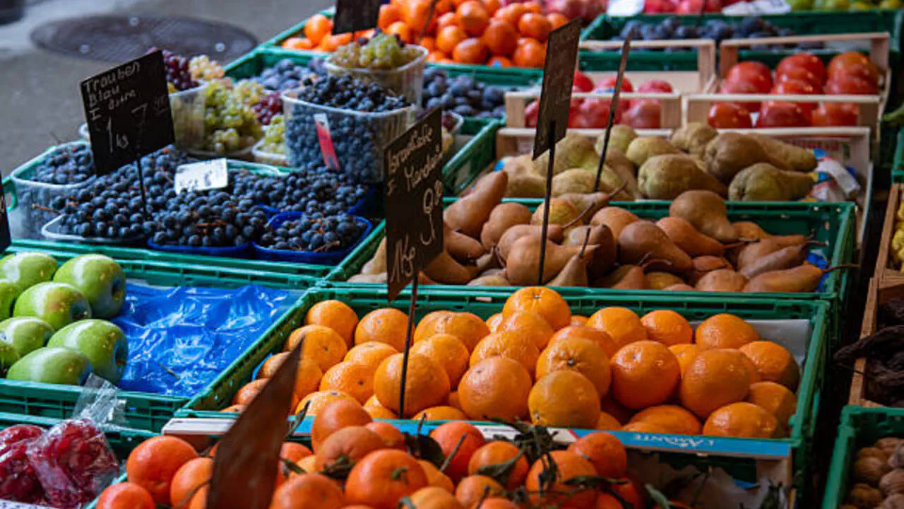 Крепкий щит организма: какие продукты особенно полезны зимой