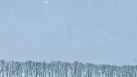 Синоптикиня Наталка Діденко: в Україні відступають люті морози