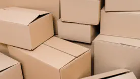 Сад без бур’янів і хімії: несподівана користь старого картону