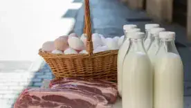 Опасность стихийной торговли: почему нельзя покупать мясо и молоко с рук