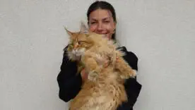 Марина Бех зі своїм котом