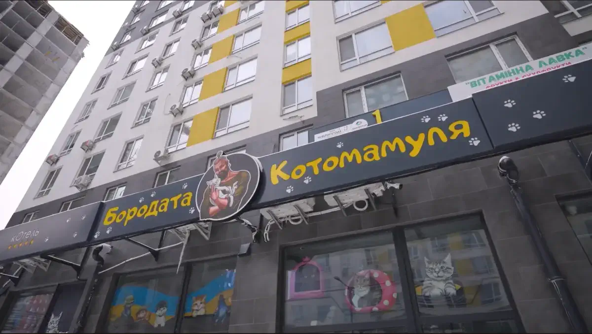 Бородата Котомамуля
